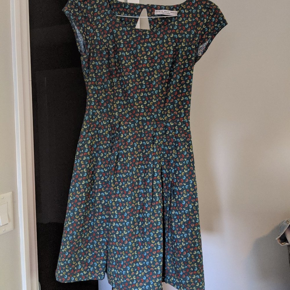Birds of North America Gnatcatcher Dress (Size 6)